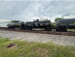CAOX 300385